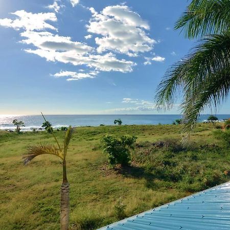 Cote Ouest - Vue Imprenable Sur La Mer - Villa Belifage Bleue Avec Piscine Privative Альбіон Екстер'єр фото