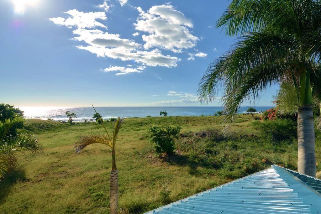 Cote Ouest - Vue Imprenable Sur La Mer - Villa Belifage Bleue Avec Piscine Privative Альбіон Екстер'єр фото